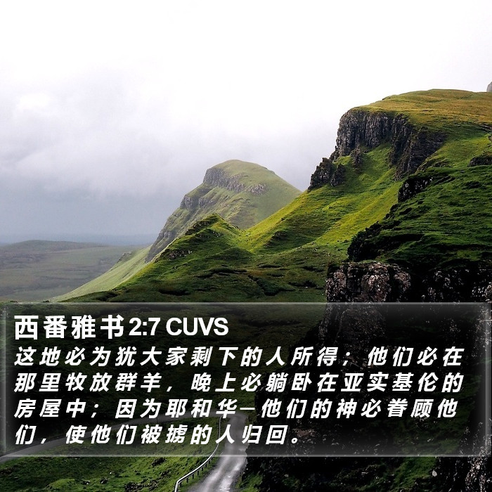 西 番 雅 书 2:7 CUVS Bible Study