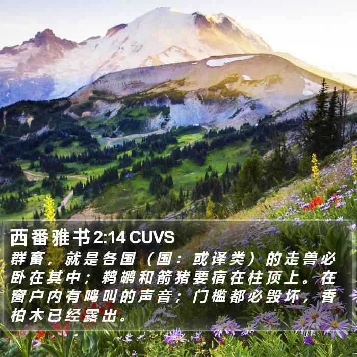 西 番 雅 书 2:14 CUVS Bible Study