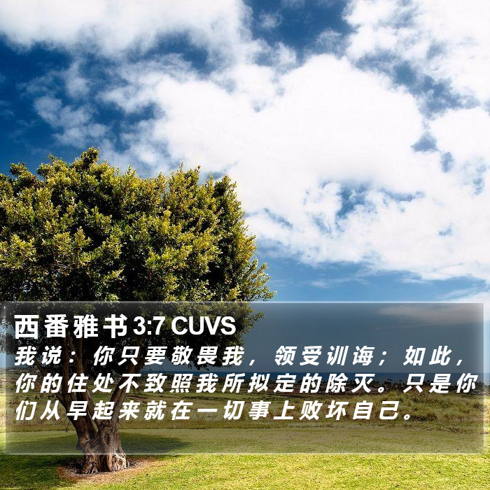 西 番 雅 书 3:7 CUVS Bible Study