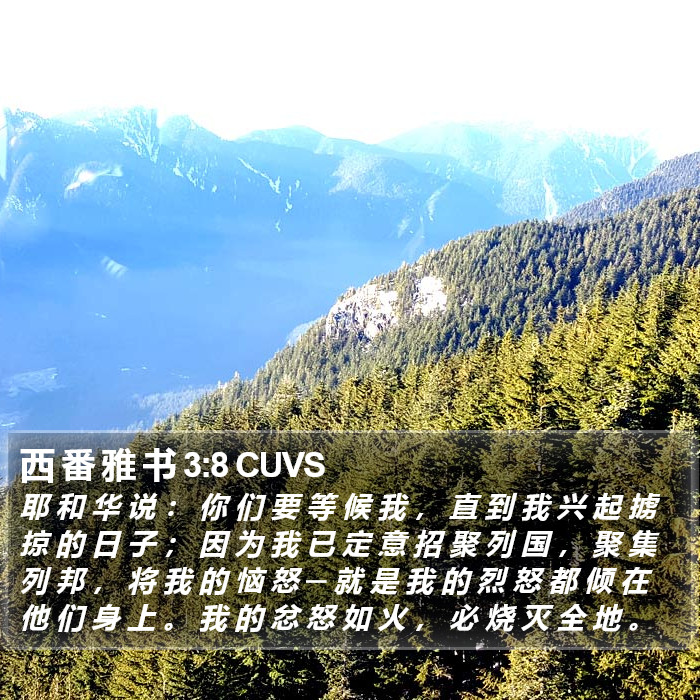 西 番 雅 书 3:8 CUVS Bible Study