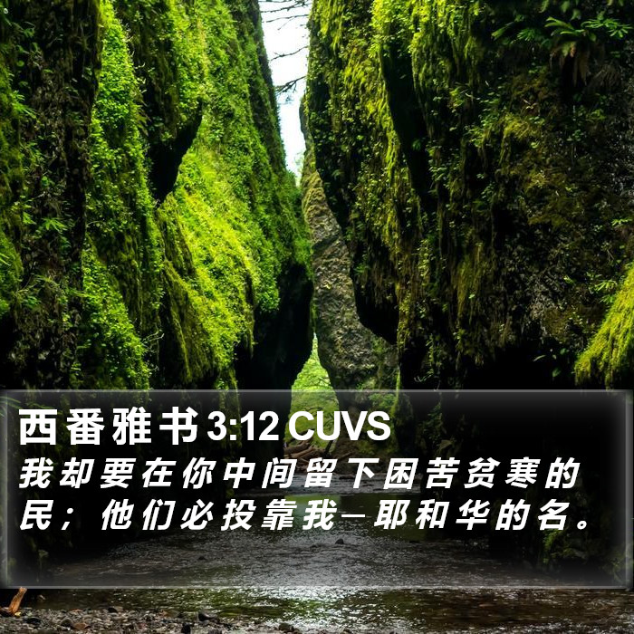 西 番 雅 书 3:12 CUVS Bible Study