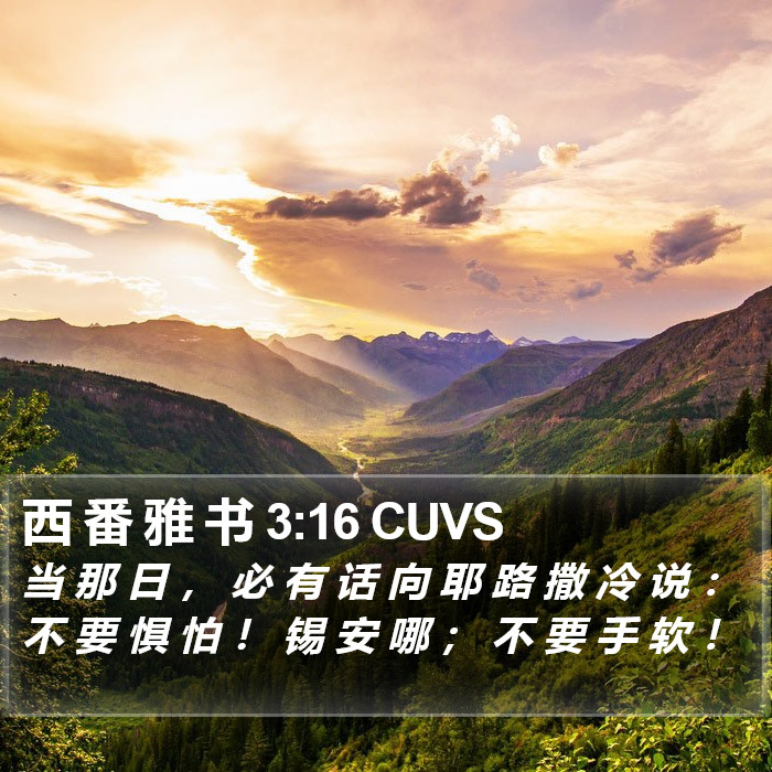 西 番 雅 书 3:16 CUVS Bible Study