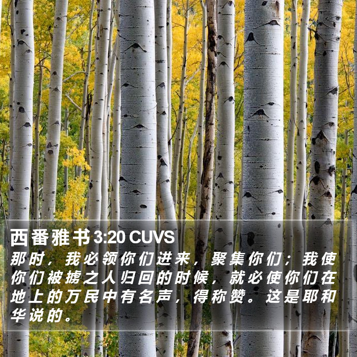 西 番 雅 书 3:20 CUVS Bible Study