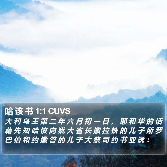 哈 该 书 1:1 CUVS Bible Study