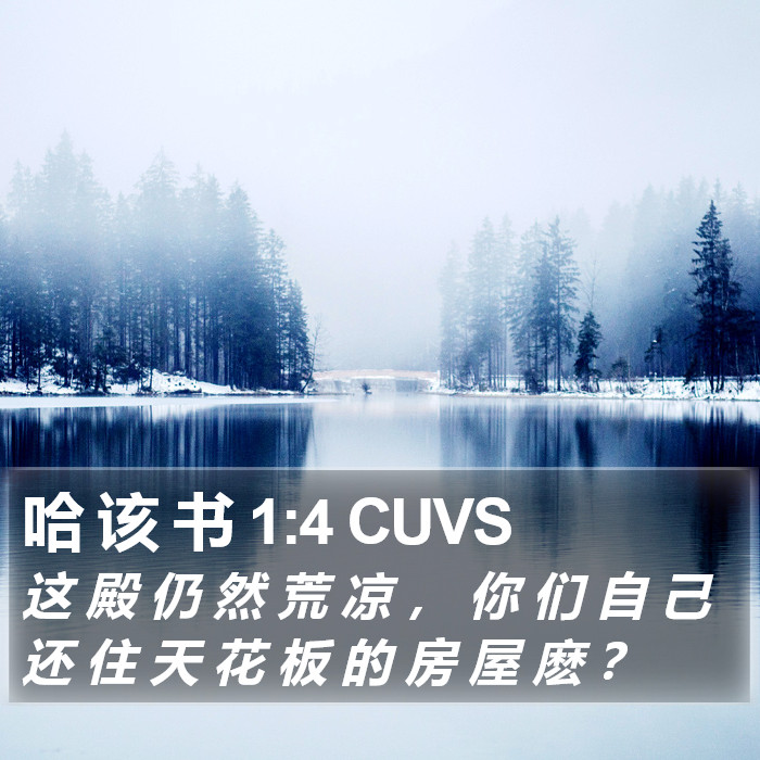 哈 该 书 1:4 CUVS Bible Study