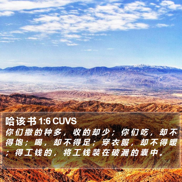 哈 该 书 1:6 CUVS Bible Study