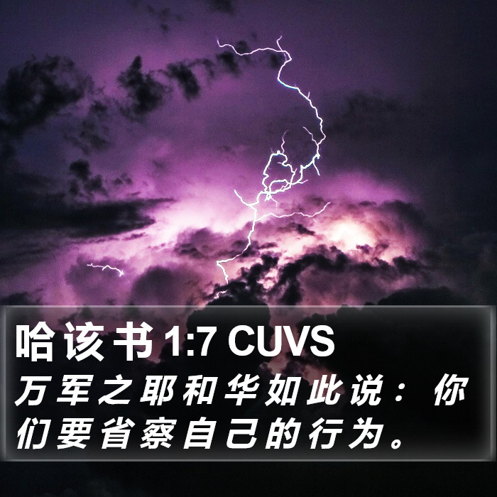 哈 该 书 1:7 CUVS Bible Study