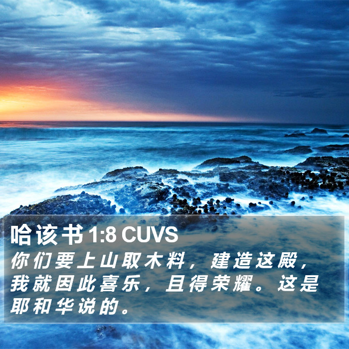 哈 该 书 1:8 CUVS Bible Study