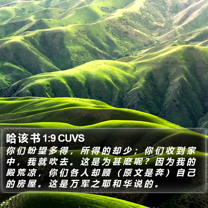 哈 该 书 1:9 CUVS Bible Study