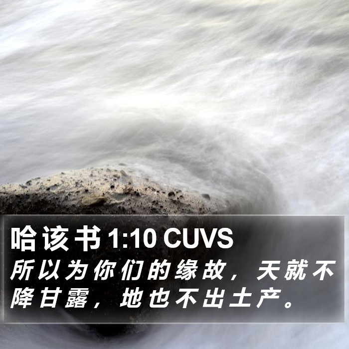 哈 该 书 1:10 CUVS Bible Study