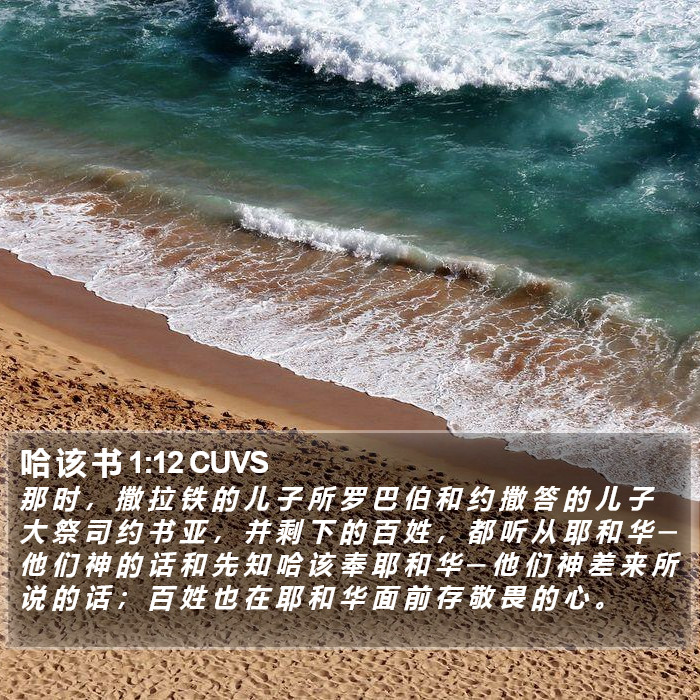 哈 该 书 1:12 CUVS Bible Study