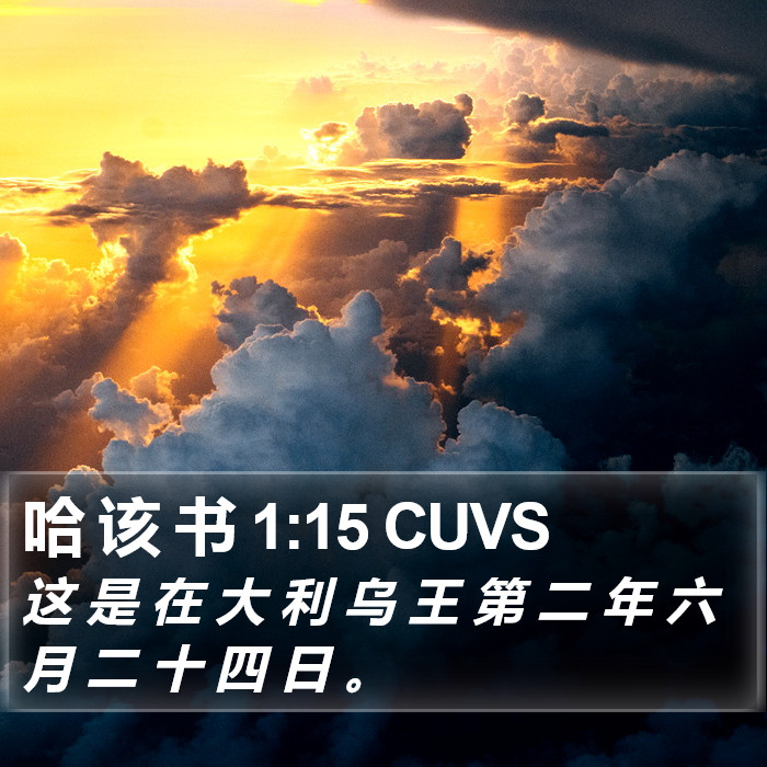 哈 该 书 1:15 CUVS Bible Study