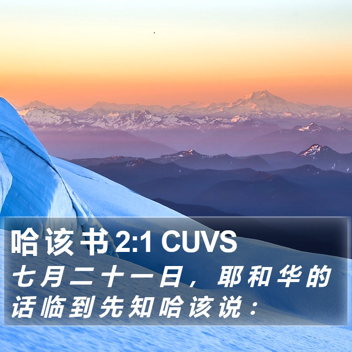 哈 该 书 2:1 CUVS Bible Study