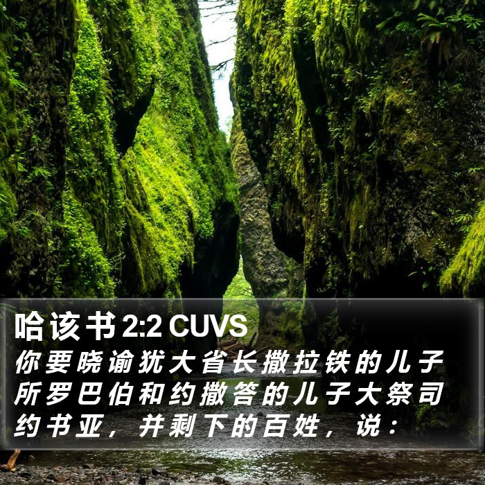 哈 该 书 2:2 CUVS Bible Study