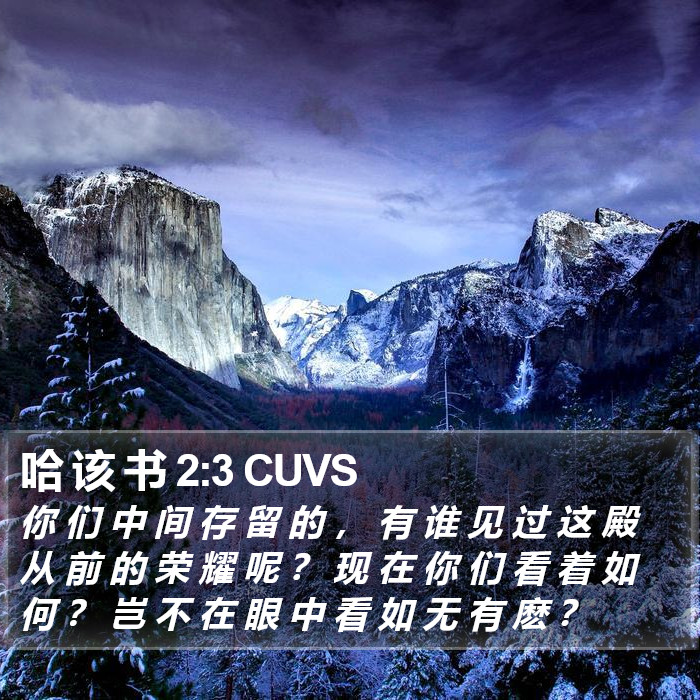 哈 该 书 2:3 CUVS Bible Study
