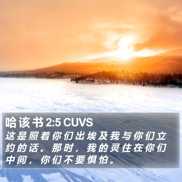哈 该 书 2:5 CUVS Bible Study