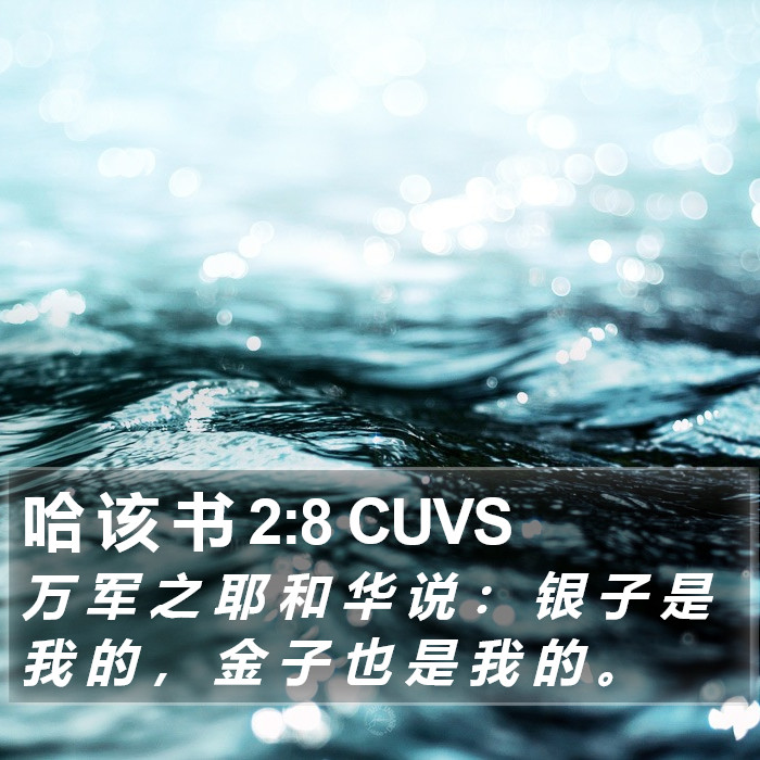 哈 该 书 2:8 CUVS Bible Study