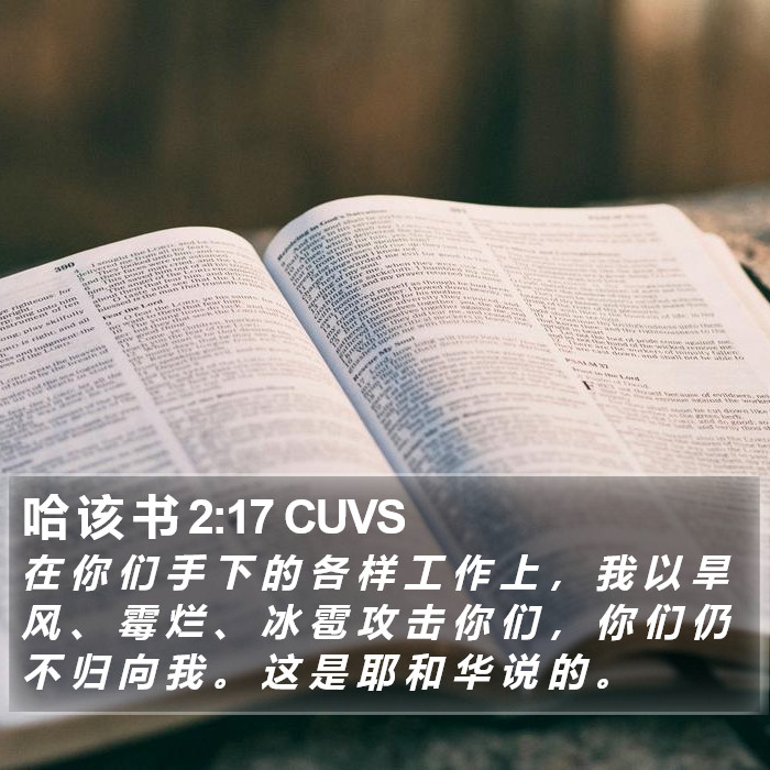 哈 该 书 2:17 CUVS Bible Study