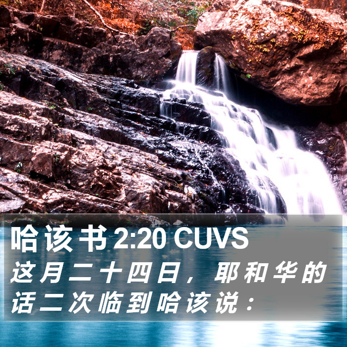 哈 该 书 2:20 CUVS Bible Study