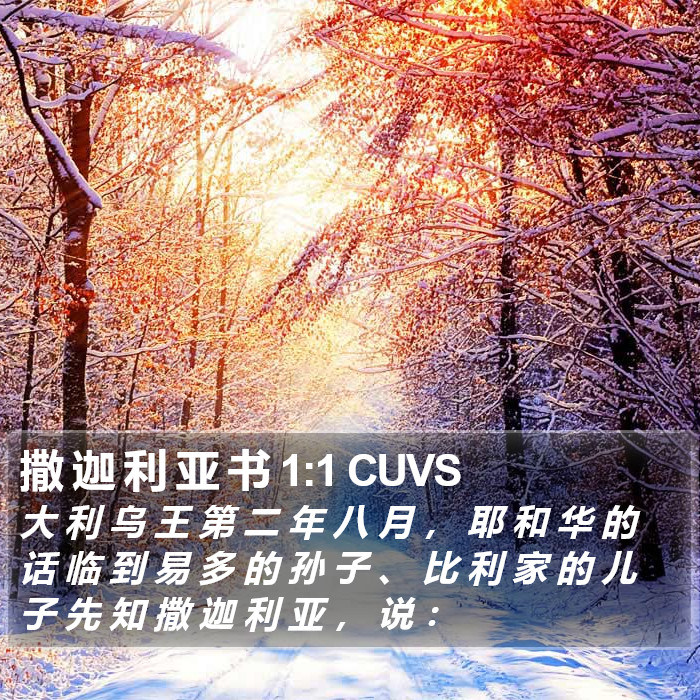 撒 迦 利 亚 书 1:1 CUVS Bible Study