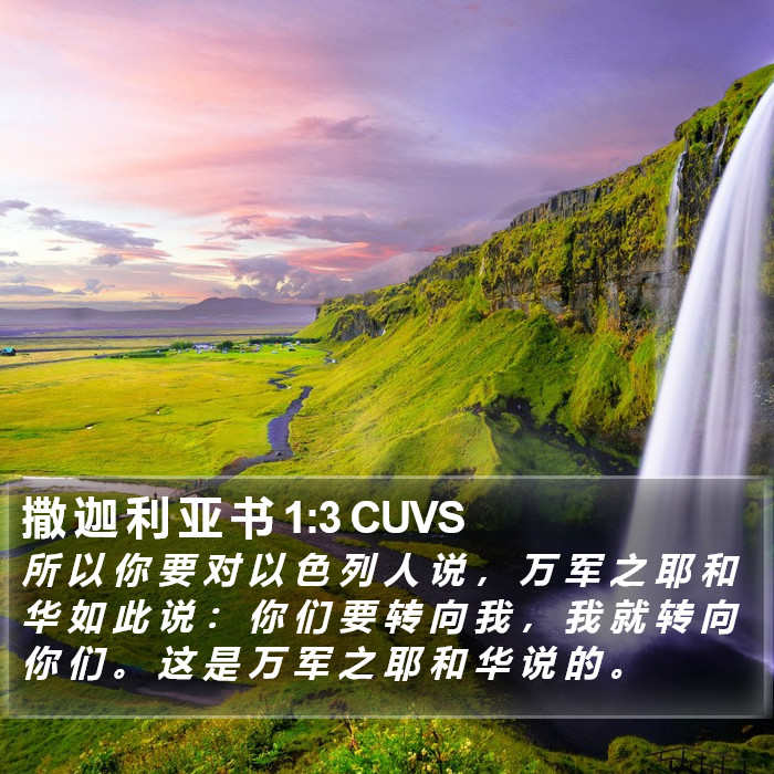 撒 迦 利 亚 书 1:3 CUVS Bible Study