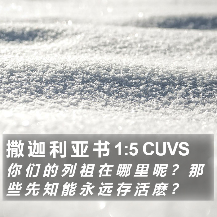 撒 迦 利 亚 书 1:5 CUVS Bible Study