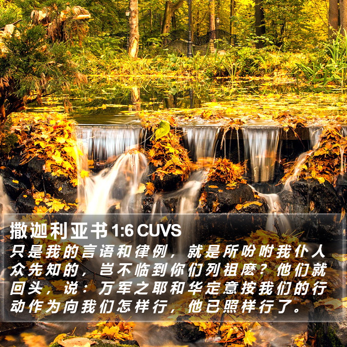 撒 迦 利 亚 书 1:6 CUVS Bible Study