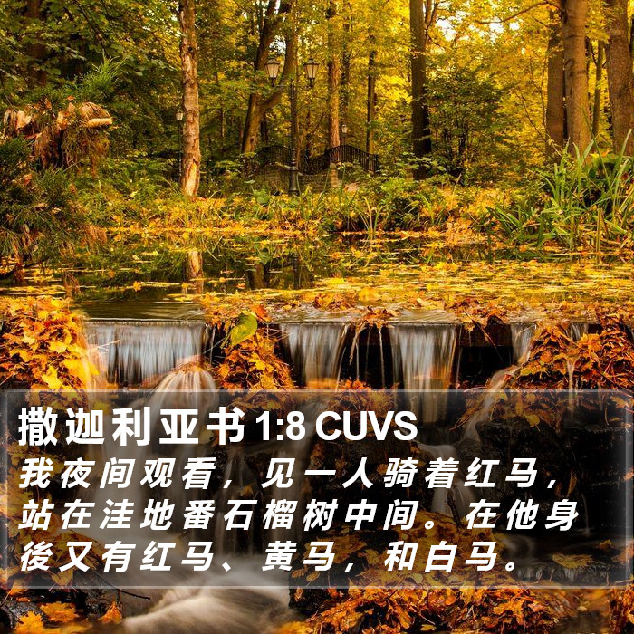 撒 迦 利 亚 书 1:8 CUVS Bible Study