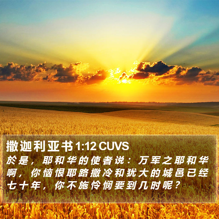 撒 迦 利 亚 书 1:12 CUVS Bible Study