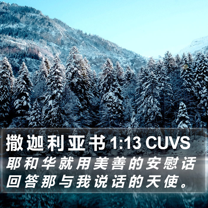 撒 迦 利 亚 书 1:13 CUVS Bible Study