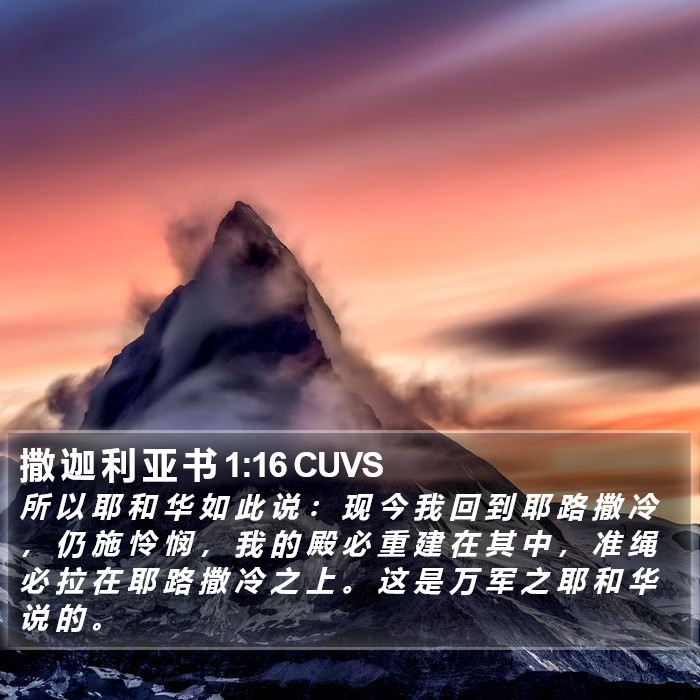 撒 迦 利 亚 书 1:16 CUVS Bible Study