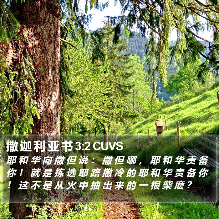 撒 迦 利 亚 书 3:2 CUVS Bible Study