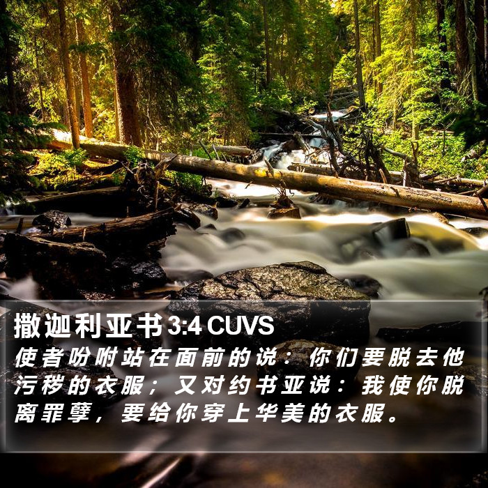 撒 迦 利 亚 书 3:4 CUVS Bible Study