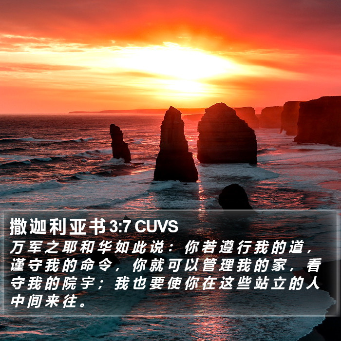 撒 迦 利 亚 书 3:7 CUVS Bible Study