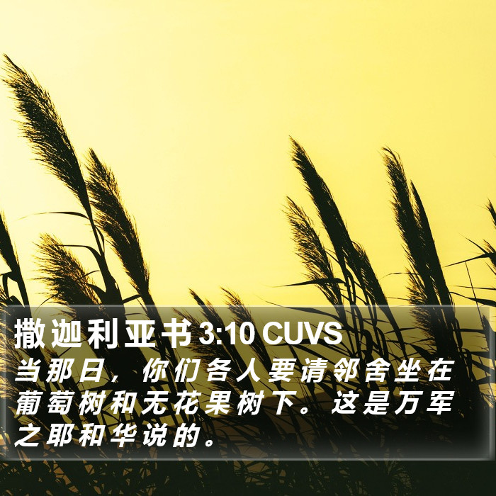 撒 迦 利 亚 书 3:10 CUVS Bible Study