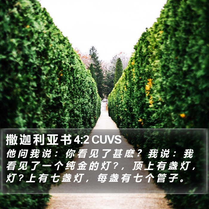 撒 迦 利 亚 书 4:2 CUVS Bible Study