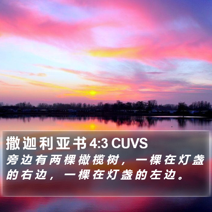 撒 迦 利 亚 书 4:3 CUVS Bible Study