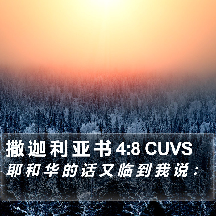 撒 迦 利 亚 书 4:8 CUVS Bible Study