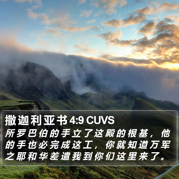 撒 迦 利 亚 书 4:9 CUVS Bible Study