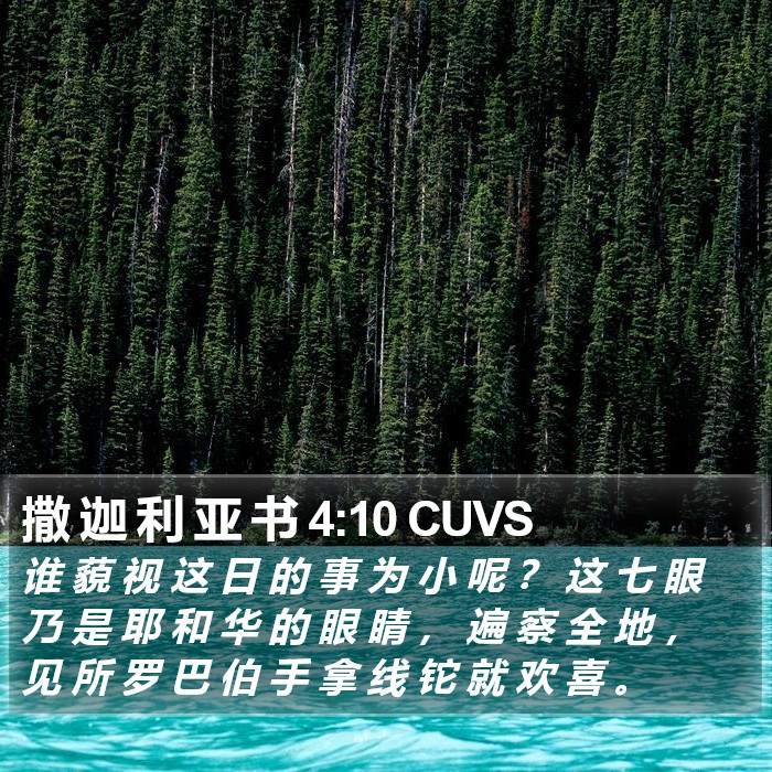 撒 迦 利 亚 书 4:10 CUVS Bible Study