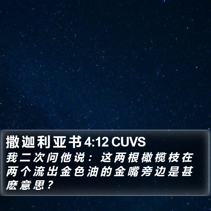 撒 迦 利 亚 书 4:12 CUVS Bible Study