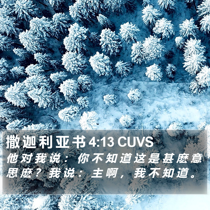 撒 迦 利 亚 书 4:13 CUVS Bible Study