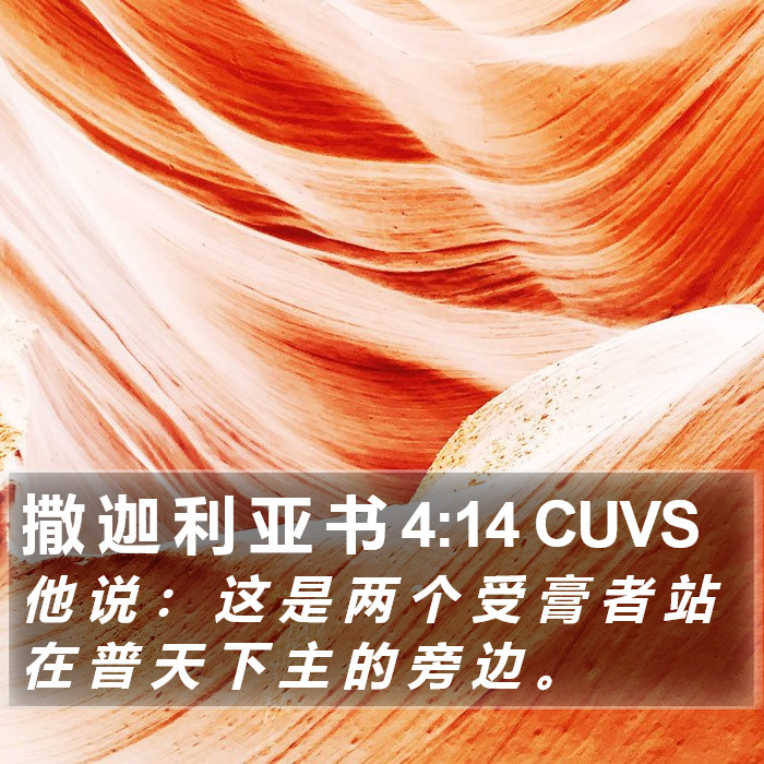 撒 迦 利 亚 书 4:14 CUVS Bible Study
