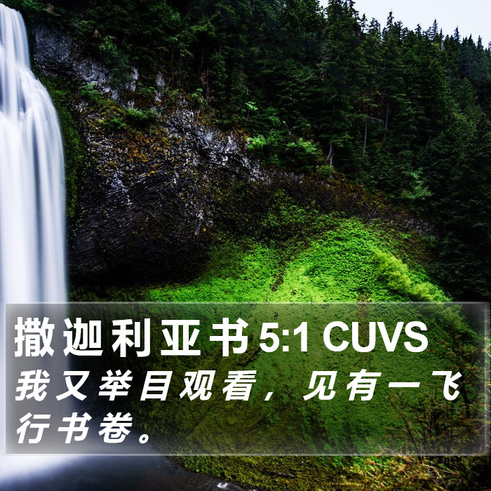 撒 迦 利 亚 书 5:1 CUVS Bible Study