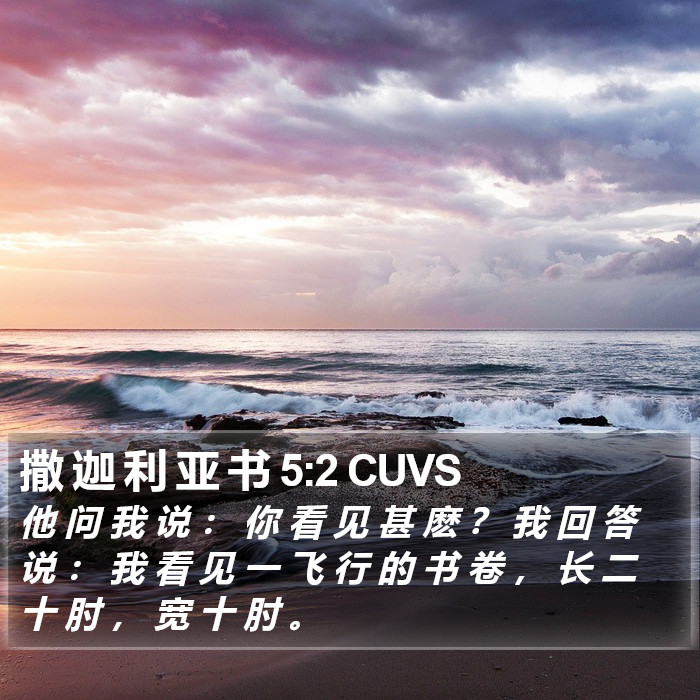 撒 迦 利 亚 书 5:2 CUVS Bible Study