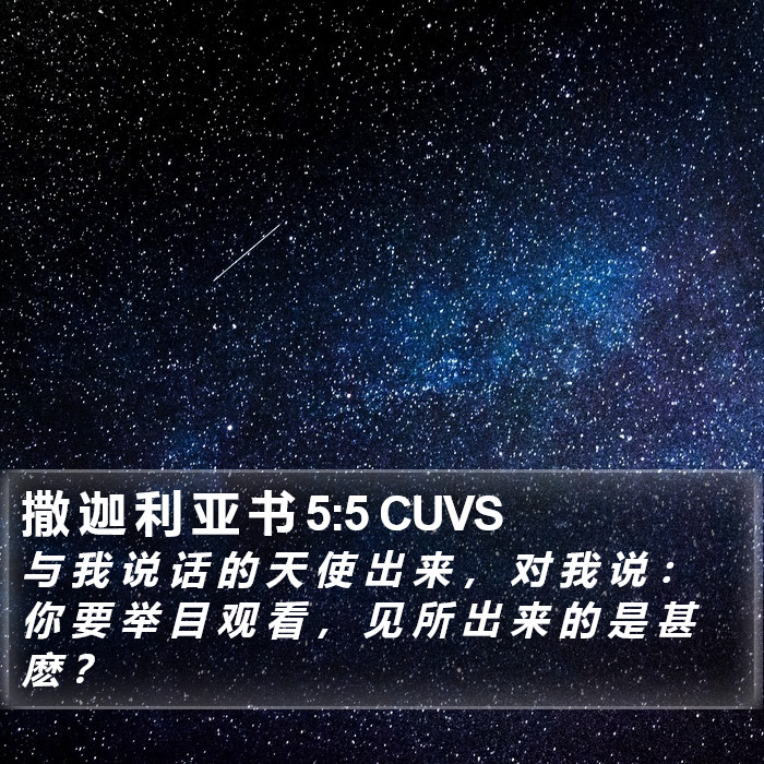 撒 迦 利 亚 书 5:5 CUVS Bible Study