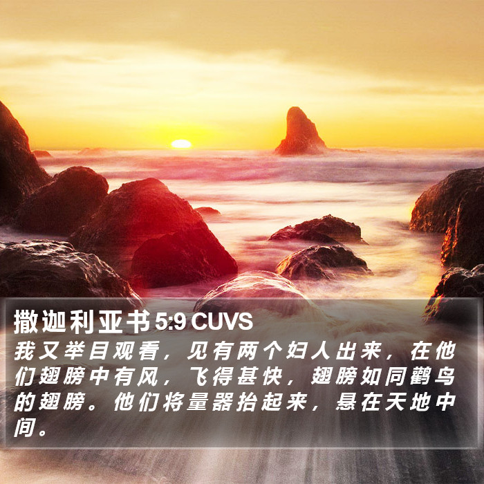 撒 迦 利 亚 书 5:9 CUVS Bible Study