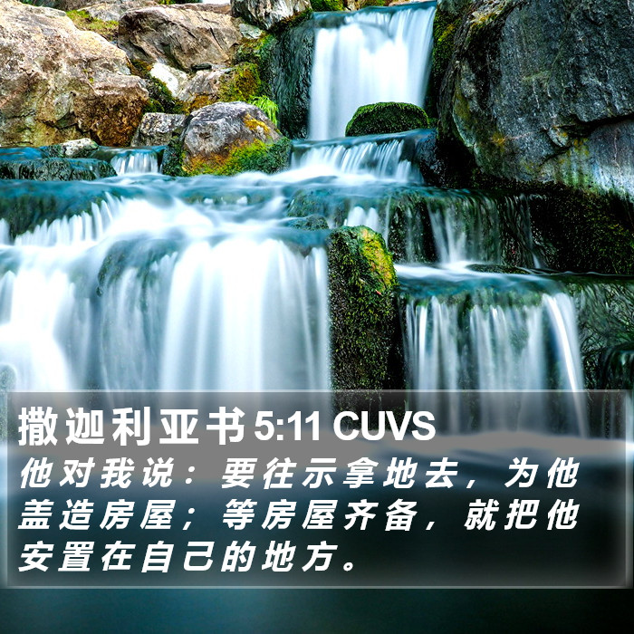 撒 迦 利 亚 书 5:11 CUVS Bible Study