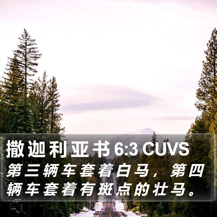 撒 迦 利 亚 书 6:3 CUVS Bible Study