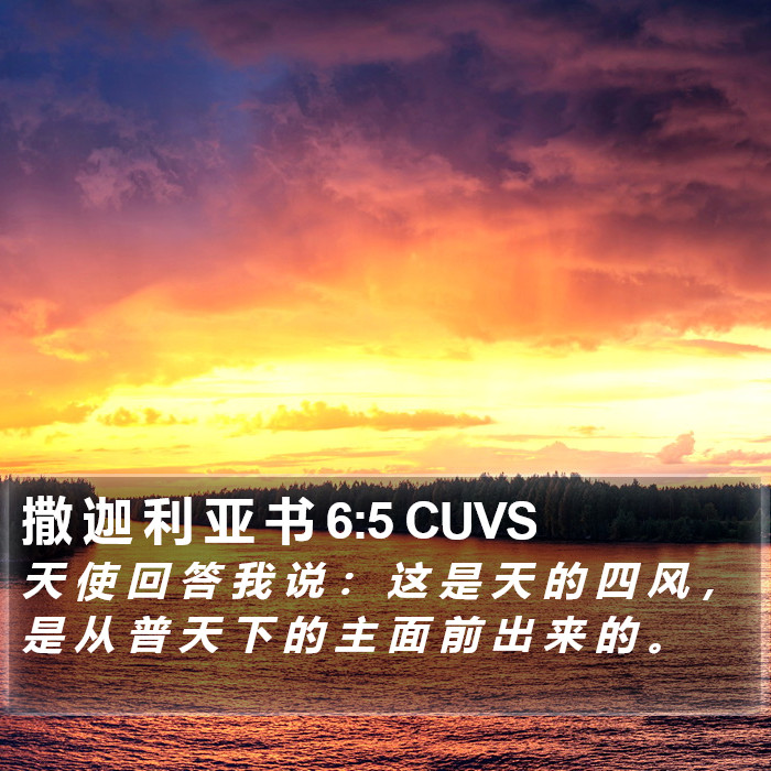 撒 迦 利 亚 书 6:5 CUVS Bible Study